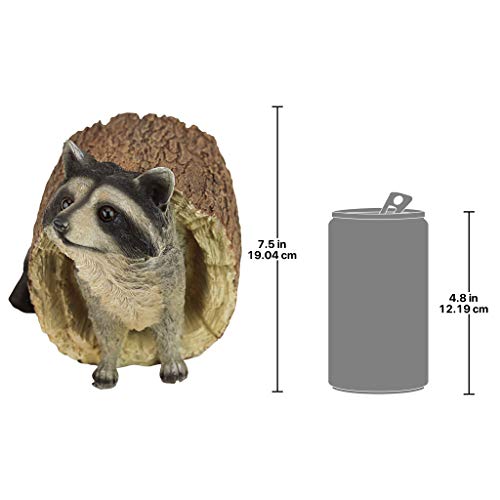 Design Toscano QM24625001 Bandit The Raccoon Indoor/Outdoor Garden Animal Statue thumb #6