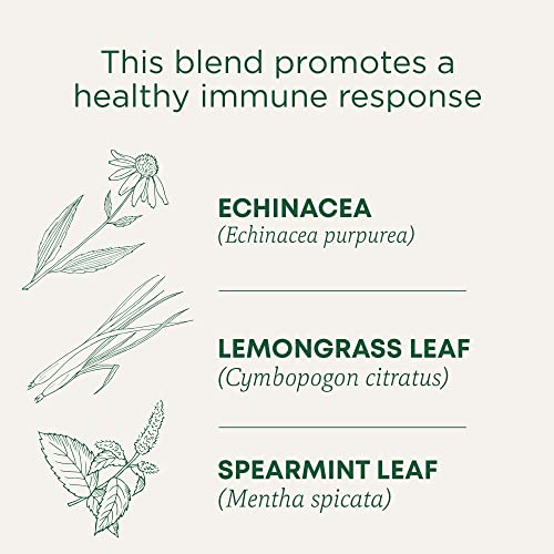 Image of Traditional Medicinals Organic Echinacea Plus Spearmint, 96 Tea Bags | Promotes Immune Function, w /Spearmint, Kosher, Non-GMO, Caffeine-Free, Compostable