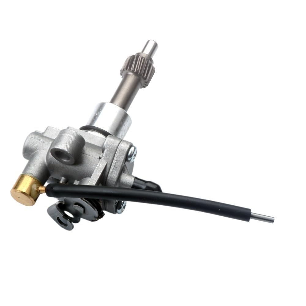 Pompe à Huile Compatible avec Scooter Assy 2 Temps 50cc, Compatible avec Les modèles de Motos Rapido Compatible avec numéro de pièce 8K1927225B