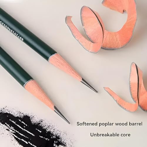 Image of PLUSPOINT 19 Piece Pencil Sketching & Drawing Art Set for Artists, Professional Graphite Pencil Kit with Blending Tools, Erasers, Sharpener & Metal Tin Box