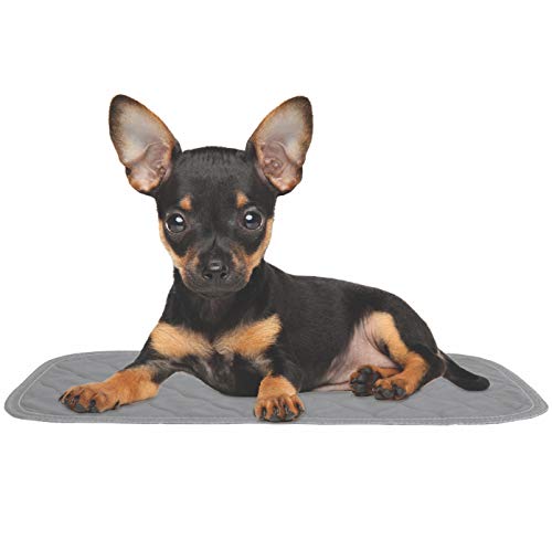 rocket & rex Dog Pee Pads. Washable, Reusable, Waterproof and Absorbent, Better for The Environment, Protects Floors and Rugs. Easy Cleanup. (Grey, (2-Pack) 17.5 x 11) - Thumbnail 5
