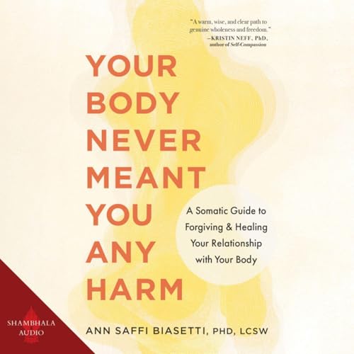 Your Body Never Meant You Any Harm cover art