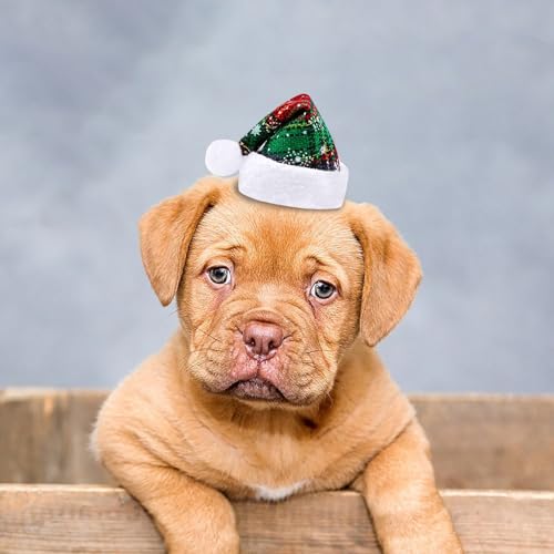 Poo4kark Eleganter Geburtstags Haarschmuck mit Spitzer Verzierung Perlen roter Glitzer verstellbare Kopfbedeckung für Haustiere als perfekte Party-Ausstattung (B, 20x5cm)