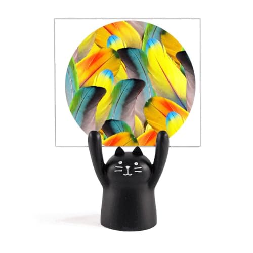 KIȃp^[̒ۓIȖ؂̕svc J[gD[LX^h^z_[