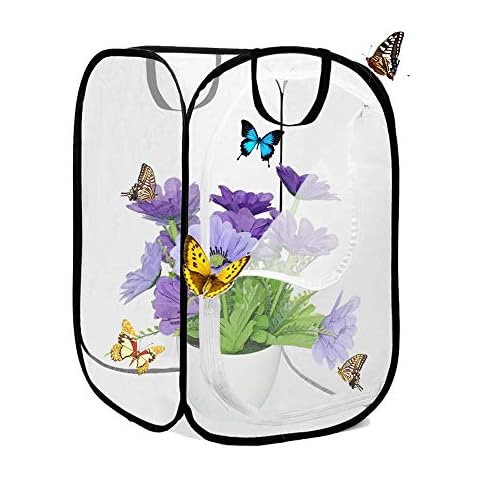 AiYoYo Insekten und Schmetterlings Habitat käfig Faltbare wasserdichte Schmetterlingshäuser Anti-Moskito Schmetterlingshaustierzelt Mini Transparent Gewächshaus Wachsen Haus 40 * 40 * 60cm Cover