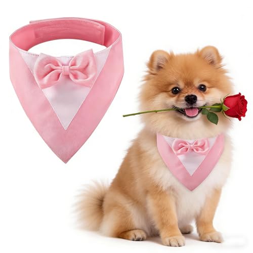 Hundesmoking, Hundehochzeit Bandana Kragen mit Fliege Hundekostüme kleine Hunde Hundesmoking für kleine Hunde Hundeanzug Kostüm für Hunde Hochzeit, Verlobung, und Geburtstag (Hals:20-30cm/Pink)