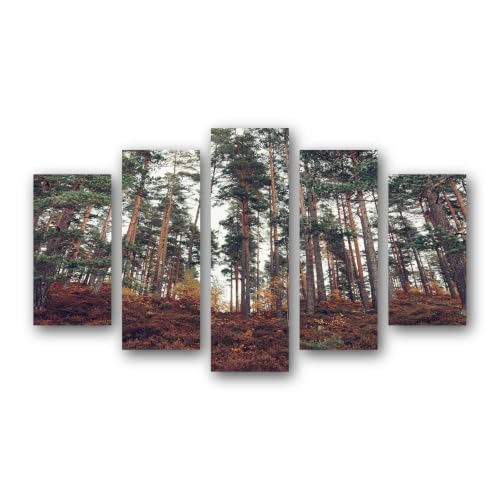 Tableau sur Toile Forêt de Grands Pins : Grand format 5 pièces pour décoration chambre
