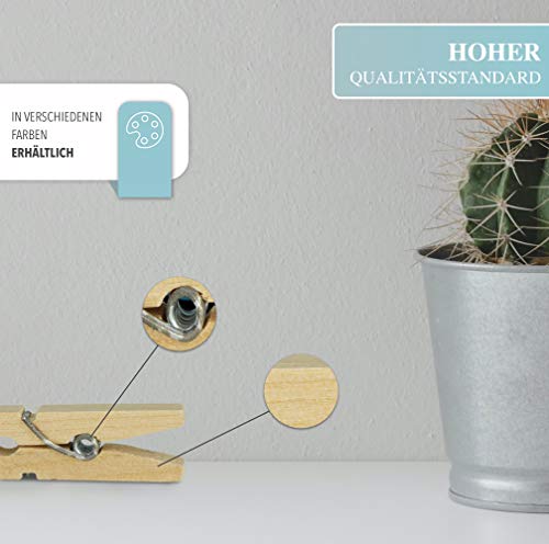 100 gekleurde houten wasknijpers, mini, kleurrijk, kleine knijpers voor foto's, collages, ansichtkaarten ophangen (7,1 cm 100 gekleurde houten wasknijpers, mini, kleurrijk, kleine knijpers voor foto's, collages, ansichtkaarten ophangen (7,1 cm