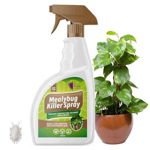 Mealybug Killer Spray 500ml - Bug Spray with Insecticidal Soap for Indoor Plants - Effective Plant Insecticide to Target Mealybugs - Easy-to-Use House Bug Killer Treatment for Vibrant Growth