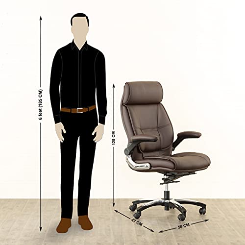 Image of Home Centre | Aubrey | Upholstery | Study and Office Chairs | Brown | 1 Year Warranty