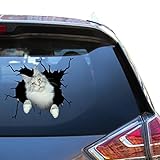 カメリアプリント メインクーン キャット デカール ステッカー 猫 デカール スモール 3D 自動車用デカール Mom Vynil Fridge デカール