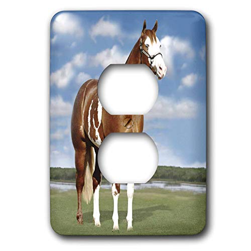 Plaque de finition double prise Champion Paint Quarter Horse 3dRose haute finition