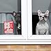 Pet Alert Safety Fire Rescue Sticker - Save Our Pets Emergency Inside Decal - House Home Window Door Sign