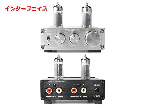 真空管アンプ シルバー RCA入力 31wXrRVQTNL.jpg