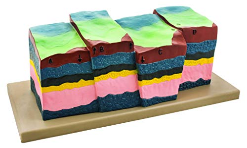 Image of Eisco - Fractures, Faults & Dislocations Model, 21 inch x 13 inch x 8 inch, Hand-Painted Geological Representation, Demonstrates Normal, Reverse & Strike-Slip Faults, Durable Polymer, Earth Science Classroom
