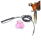 Laisse harnais pour perroquet : matériau en corde élastique, il est élastique et ne blesse pas l'oiseau, laisse pour oiseau.