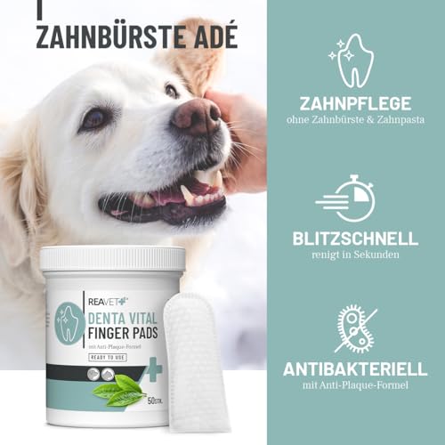 ReaVET Denta Vital - Zahnpflege Finger-Pads für Hunde & Katzen 50 Stück – Zahnreinigung, Zahnpflege ohne Zahnbürste Zahnsteinentferner I Fingerpads, Fingerlinge gegen Mundgeruch