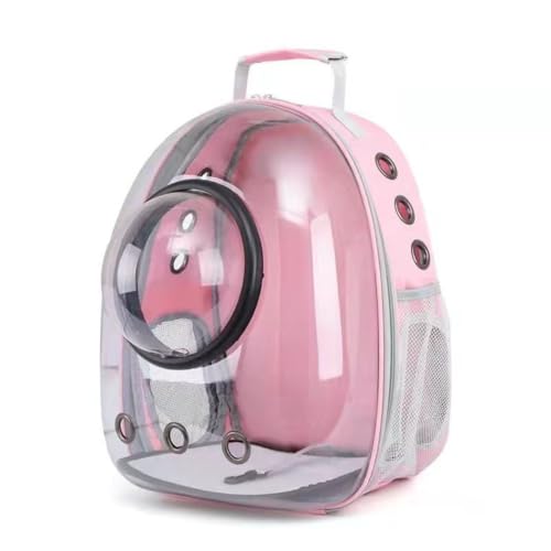 Angoda ybgpobNpbN LpL[obO XO FDJvZ^Cv  ʋC e v S y ^т₷ ybgpi L q a@ U s O[ (t[htsN)