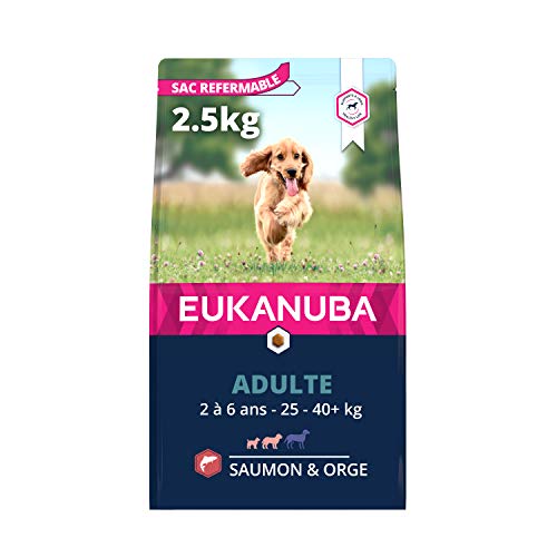 Eukanuba - Croquettes riches en Saumon et Orge pour Chiens Adultes Petite et Moyenne Race - Peau et Pelage sensibles - Glucosamine et L-carnitine - Sans OGM, arôme artificiel, colorant - 2,5 kg Cover
