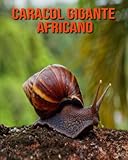 caracol gigante  Caracol gigante africano: Libro para niños con imágenes asombrosas y datos curiosos sobre los Caracol gigante africano
