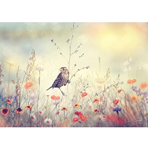 Runa Art Fototapete Blumenwiese Vogel 352 x 250 cm Vlies Tapeten...