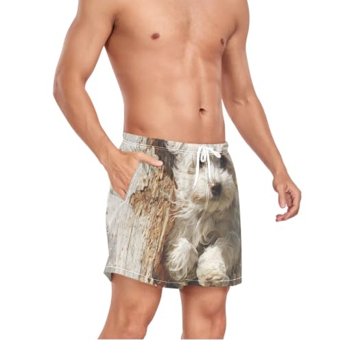 Traje de baño de secado rápido para hombre con estampado 3D de perro maltés 5