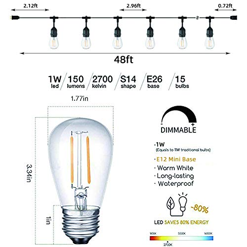 Guirnalda de luces exterior Svater 48FT con 30 bombillas 2W miniatura 4
