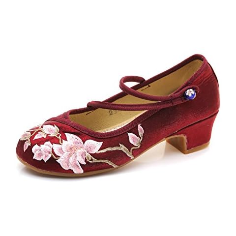 CrazycatZ Womens Velvet Embroidery Mary Jane Block Heel Shoes (6 UK EU 39, RED Wine) Cover