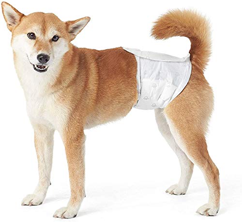 wegreeco washable male dog belly wrap
