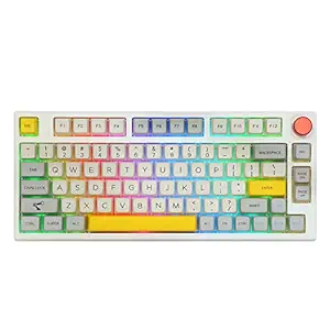 EPOMAKER Theory TH80 Pro 75% Hot Swap RGB 2.4Ghz/Bluetooth 5.0/Wired Mechanical Keyboard with MDA Keycaps, 4000mah Capacity Battery, Knob Control for WIN/Mac/PS4/PS5/Xbox (Gateron Pro Yellow)