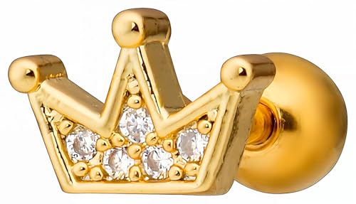 [From da Phactory] NE WG Xg[go[x T[WJXeX WRjA sAX {fBsAX 1(18G S[h)