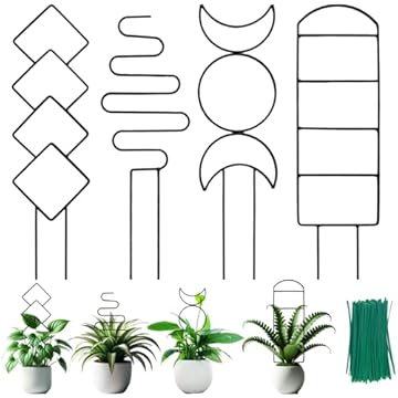 small trellis for climbing plants