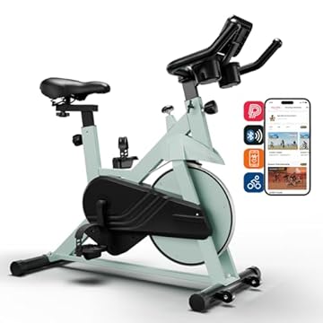 Lacuffy Cyclette da Casa, Ciclette Professionale 136 capacità di peso, Magnetic Bicicletta per Casa Fitness Spin Bike con display LCD e APP per la casa
