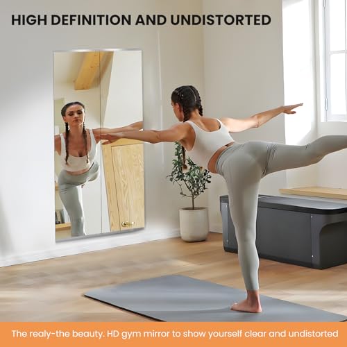 Home Gym Mirror, 48X30 Inch(1Pack) Wall Mounted Large Frameless Tempered Glass Mirror, Idea for Gym, Yoga, Bedroom, Dance Studio, Living Room