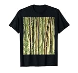 Arte Zen Ecologica Bambù