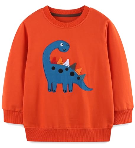 Image of Hongshilian Unisex Kids Cute Cartoon Cotton Sweater Shirt