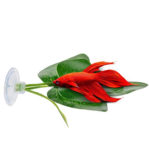 Urijk Betta Hamac en Feuilles Form pour Aquarium, Habitat Naturel Combattant à Reposer Frayer Dessus, Jouets Combattant, Plante Artificielle d'aquarium Réutilisable en Plastique Non-Toxique (B) Cover