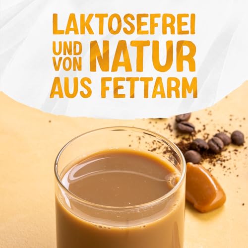 Alpro Iced Coffee Karamell Soja – Kaffee mit Sojadrink und Karamell – Von Natur aus laktose- und glutenfrei – Vegan und ideal für unterwegs – 15 x 250 ml