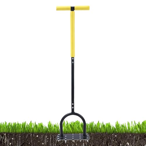 Aérateur de gazon pour pelouse compacte pour éliminer la mousse de jardin - 2