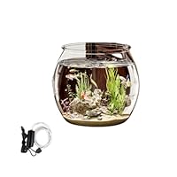 〜リアル水槽〜おうち水族館 アクアリウム コチ瓶♪ リアル水槽〜おうち水族館 アクアリウム コチ瓶♪