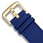 Blue / Gold Buckle