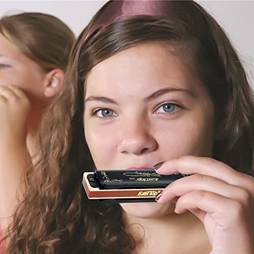 Harmonica diatonique en Bb 10 trous 20 tons T008K avec étui - 6