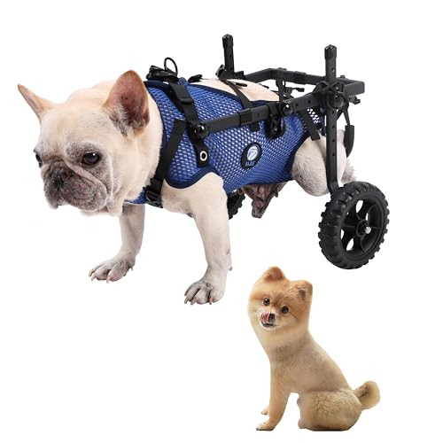 KAJILE Sillas de Ruedas Plegables de Dos Ruedas Para Perros,Silla de Ruedas Para Patas Traseras de Mascotas Pequeñas,Silla de Ruedas Ajustable Para Perros Con Patas Traseras,Azul,S