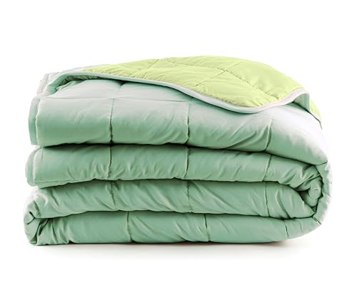 Bassetti Colcha primaveral y veraniega, color liso, ligera, reversible y suave, de microfibra acolchada, bicolor, 90 g/m², delicada, suave, verde, para cama de matrimonio, 255 x 260 cm