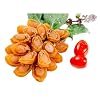 Premium Grade South America Dried Mini size Abalone, 4oz, approximately 18Pcs, for Soup/Braised Abalone 18 , 110g