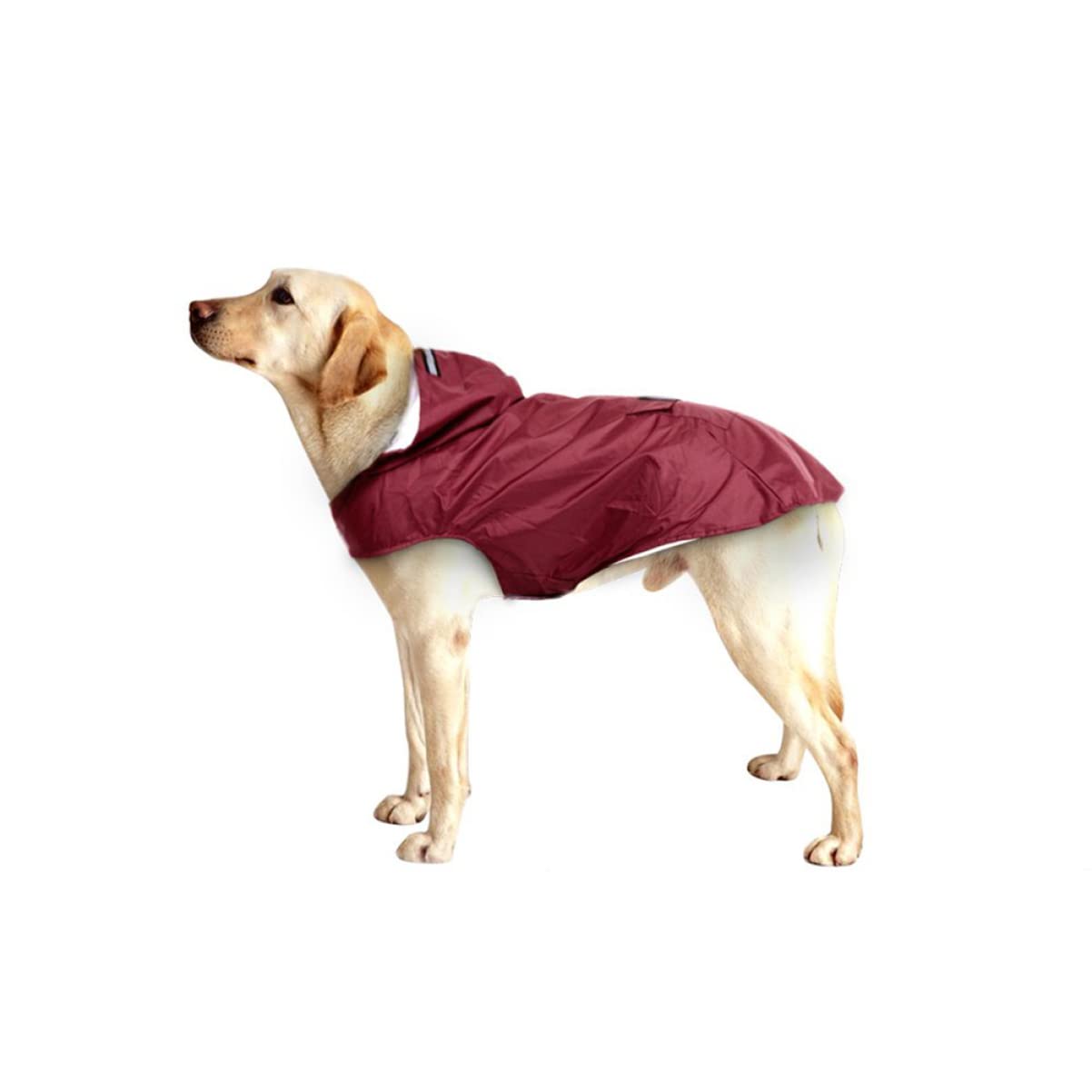 POPETPOP 3pièces Manteau De Pluie Réfléchissant pour Chiens avec Capuche Vêtement Imperméable pour Chiens Rouge Complète Et Ajustable