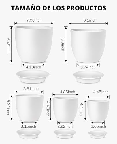 Macetas, Home Imagen adicional