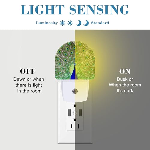 Image of Peacock Night Light with Dusk to Dawn Sensor for Room Decor, Hallway, Kitchen, Bathroom, Nursery, Stairs
