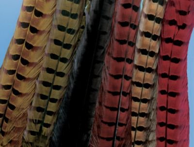 Hareline Ringneck Pheasant Tail - Fly-Tying Material - Feather - 1 Piece