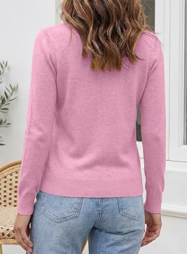 Image of SHEWIN Womens Sweaters 2026 Casual Crewneck Long Sleeve Lightweight Knit Pullover Sweater Tops Fall Clothes